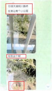 深山种大麻、社交软件上兜售、“埋包”交易,三人被公诉